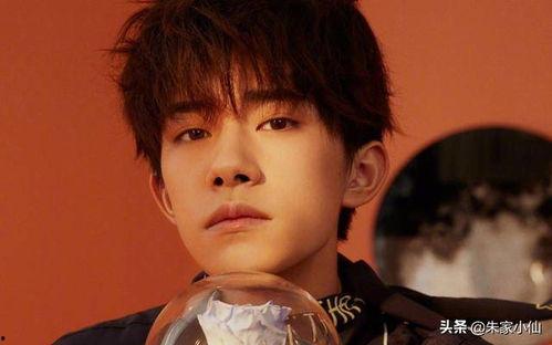 娱乐吃瓜杨洋视频全集,笑料百出,精彩瞬间大盘点