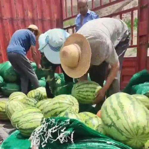 吃瓜网每日大赛聚集地